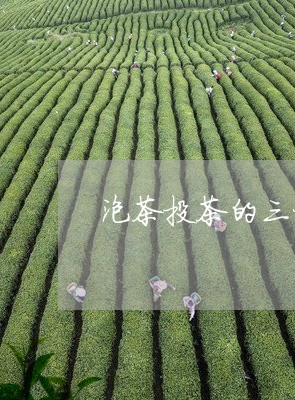 泡茶投茶的三种方法/2023032185047