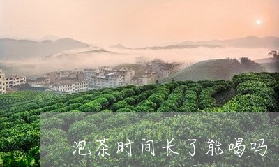 泡茶时间长了能喝吗/2023041676947