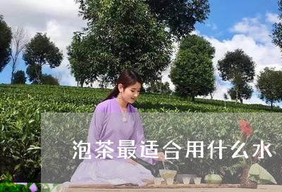 泡茶最适合用什么水/2023041626148