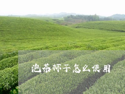 泡茶杯子怎么使用/2023032510704