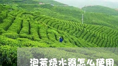 泡茶烧水器怎么使用/2023041612847