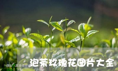 泡茶玫瑰花图片大全/2023041621615