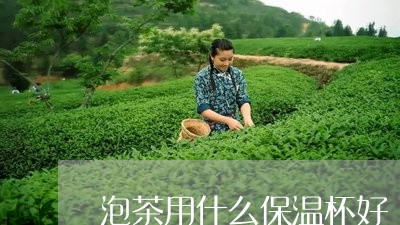 泡茶用什么保温杯好/2023041648072