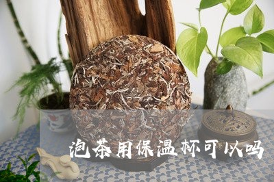 泡茶用保温杯可以吗/2023041674716