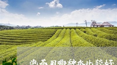 泡茶用哪种水比较好/2023041615158