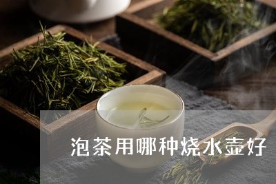 泡茶用哪种烧水壶好/2023041638171