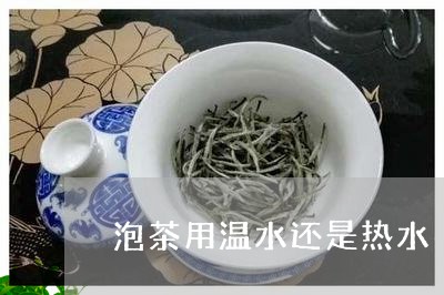 泡茶用温水还是热水/2023041689504