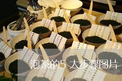 泡茶的5大步骤图片/2023032116270