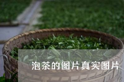 泡茶的图片真实图片/2023041781936