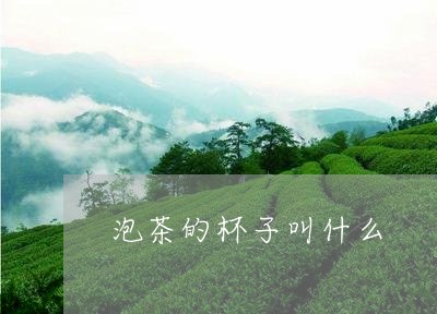 泡茶的杯子叫什么/2023032412703