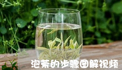 泡茶的步骤图解视频/2023041625936