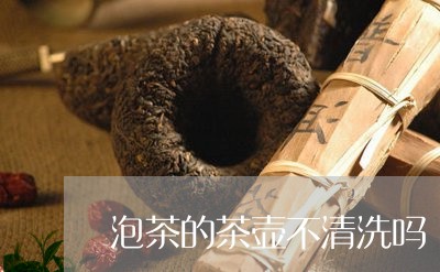 泡茶的茶壶不清洗吗/2023032117580