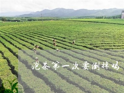 泡茶第一次要倒掉吗/2023032096693