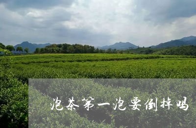 泡茶第一泡要倒掉吗/2023032008373