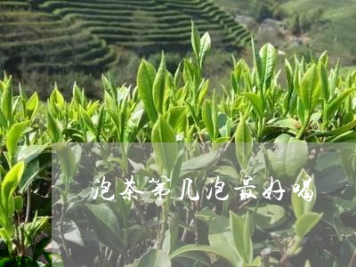 泡茶第几泡最好喝/2023032479614