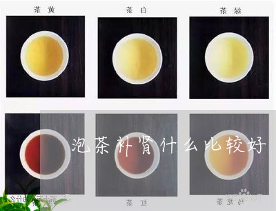 泡茶补肾什么比较好/2023032061926