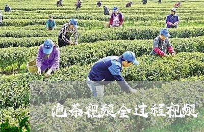 泡茶视频全过程视频/2023032085138