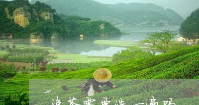 泡茶需要洗一遍吗/2023032525938