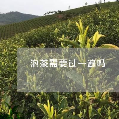 泡茶需要过一遍吗/2023032512513