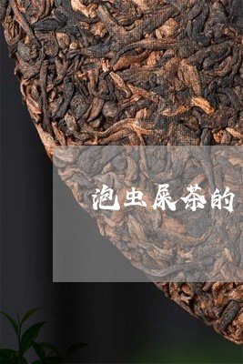 泡虫屎茶的专用工具/2023032164939