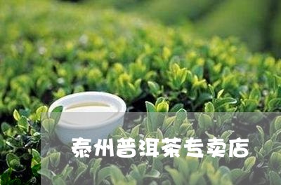 泰州普洱茶专卖店/2023041278593