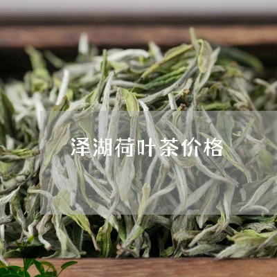 泽湖荷叶茶价格/2023032447582