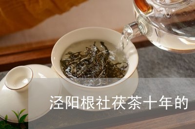 泾阳根社茯茶十年的/2023032005707