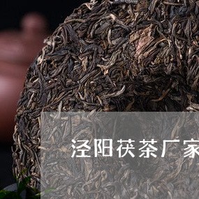 泾阳茯茶厂家一览表/2023041681637