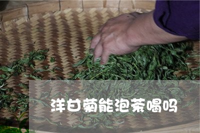 洋甘菊能泡茶喝吗/2023032569403