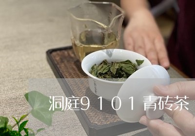 洞庭9101青砖茶/2023032077279