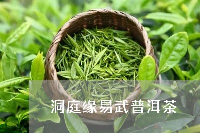 洞庭缘易武普洱茶/2023031651727