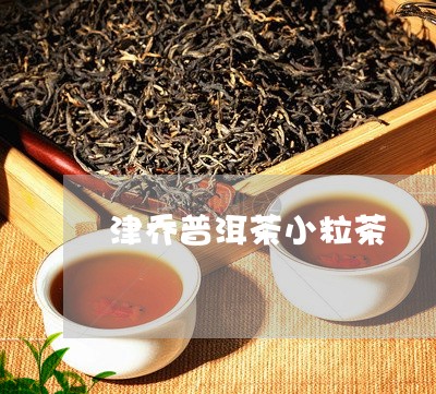 津乔普洱茶小粒茶/2023031585038