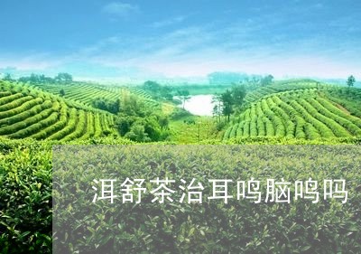 洱舒茶治耳鸣脑鸣吗/2023041651805