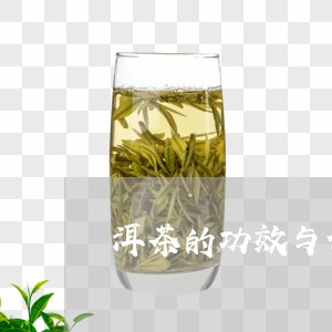 洱茶的功效与作用点/2023041672605