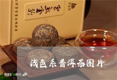 浅色系普洱茶图片/2023040172916