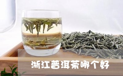 浙江普洱茶哪个好/2023031666936