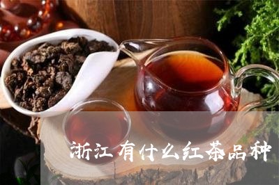 浙江有什么红茶品种/2023032194949