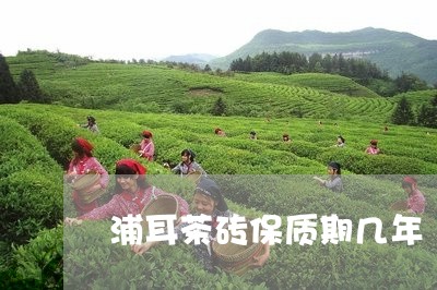 浦耳茶砖保质期几年/2023041628372