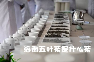 海南五叶茶是什么茶/2023041699381