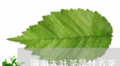 海南大叶茶是什么茶/2023041573595