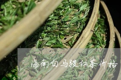 海南白马骏红茶价格/2023041717060