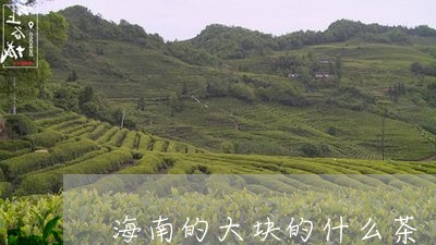 海南的大块的什么茶/2023031983605