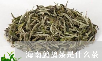 海南鹧鸪茶是什么茶/2023041588168