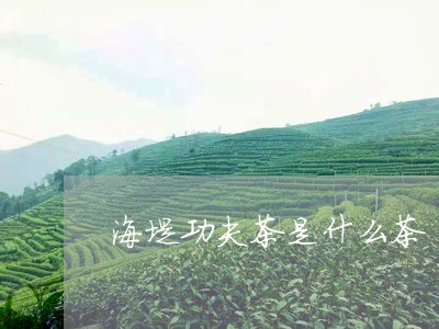 海堤功夫茶是什么茶/2023041506957