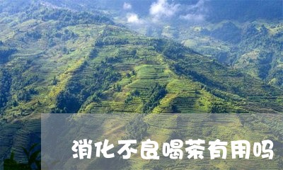 消化不良喝茶有用吗/2023041618582