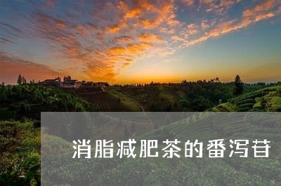 消脂减肥茶的番泻苷/2023032166375