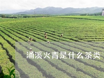 涌溪火青是什么茶类/2023032159703