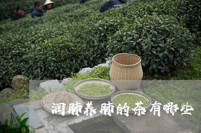 润肺养肺的茶有哪些/2023032065068