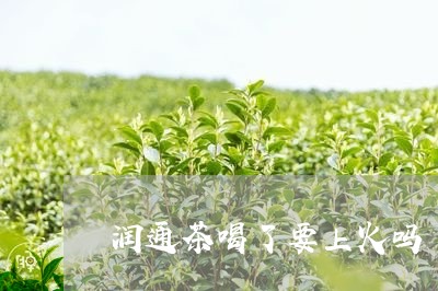 润通茶喝了要上火吗/2023031839724