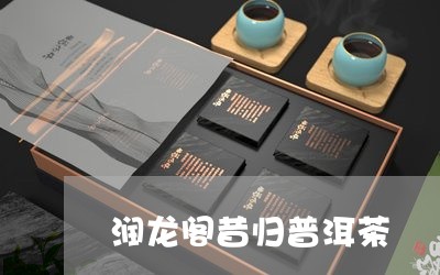 润龙阁昔归普洱茶/2023041294305